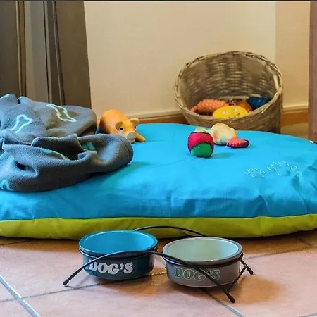 Hund Im Glück *