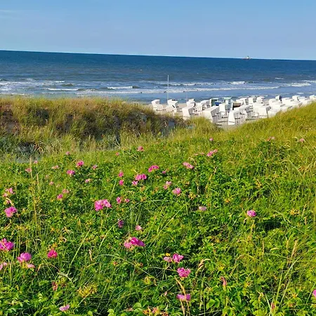 Hund Im Glueck * Wangerooge