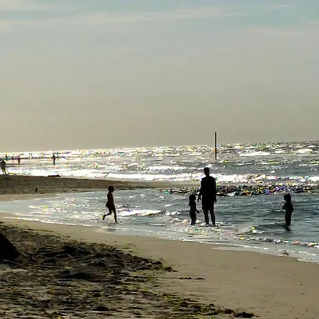 Hund Im Glueck Wangerooge