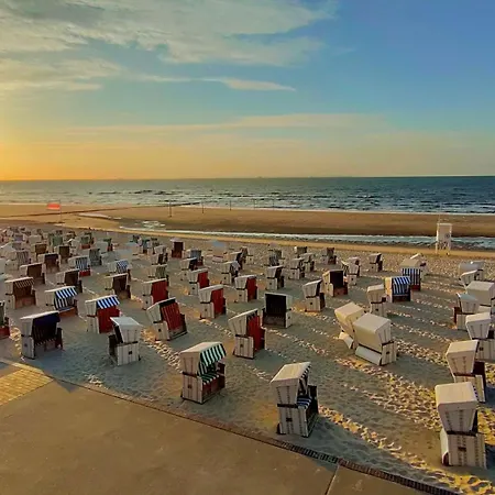 Hund Im Glueck Wangerooge