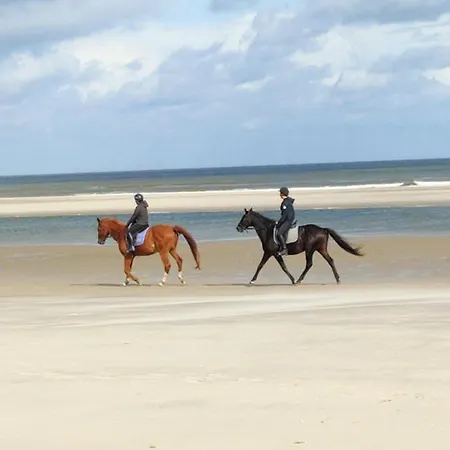 Apartament Hund Im Glueck *