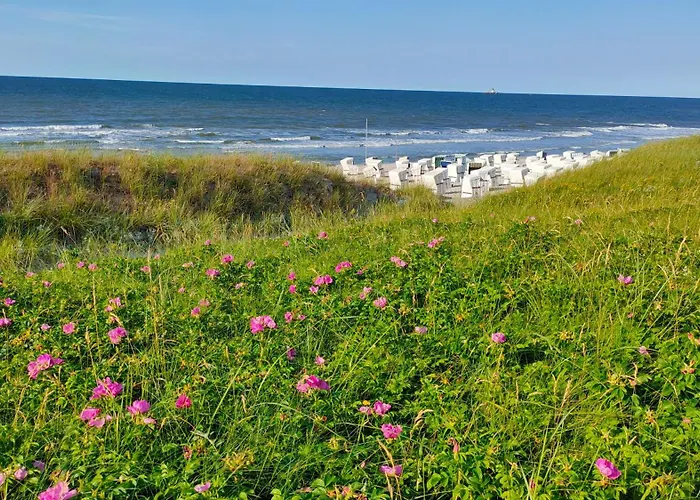 Hund Im Glueck * Wangerooge
