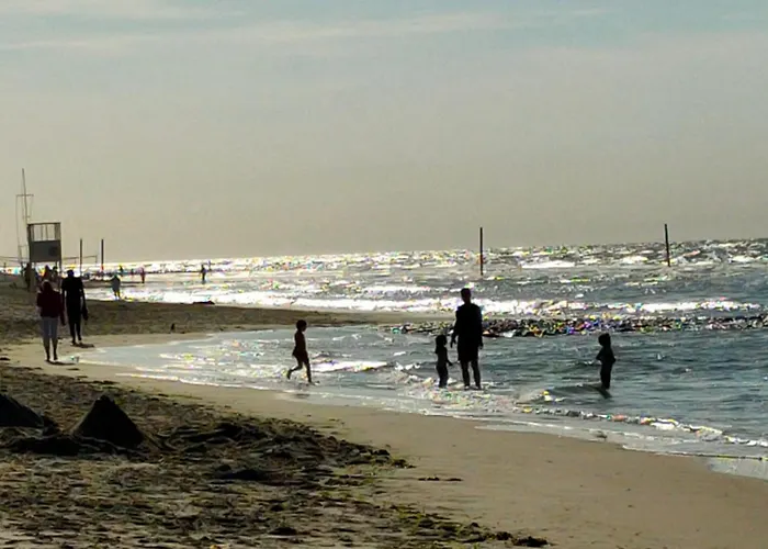 Hund Im Glueck Wangerooge