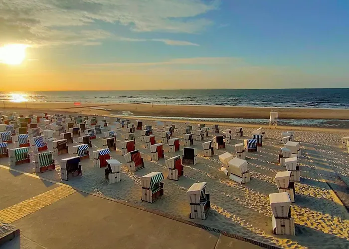 Hund Im Glueck Wangerooge